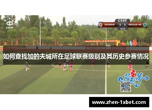如何查找加的夫城所在足球联赛级别及其历史参赛情况