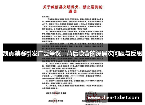 魏震禁赛引发广泛争议，背后隐含的深层次问题与反思